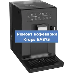 Чистка кофемашины Krups EA873 от кофейных масел в Воронеже
